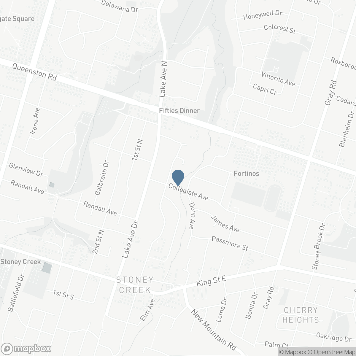 72 MOUNTAIN AVENUE N, Hamilton, Ontario L8G 3P5